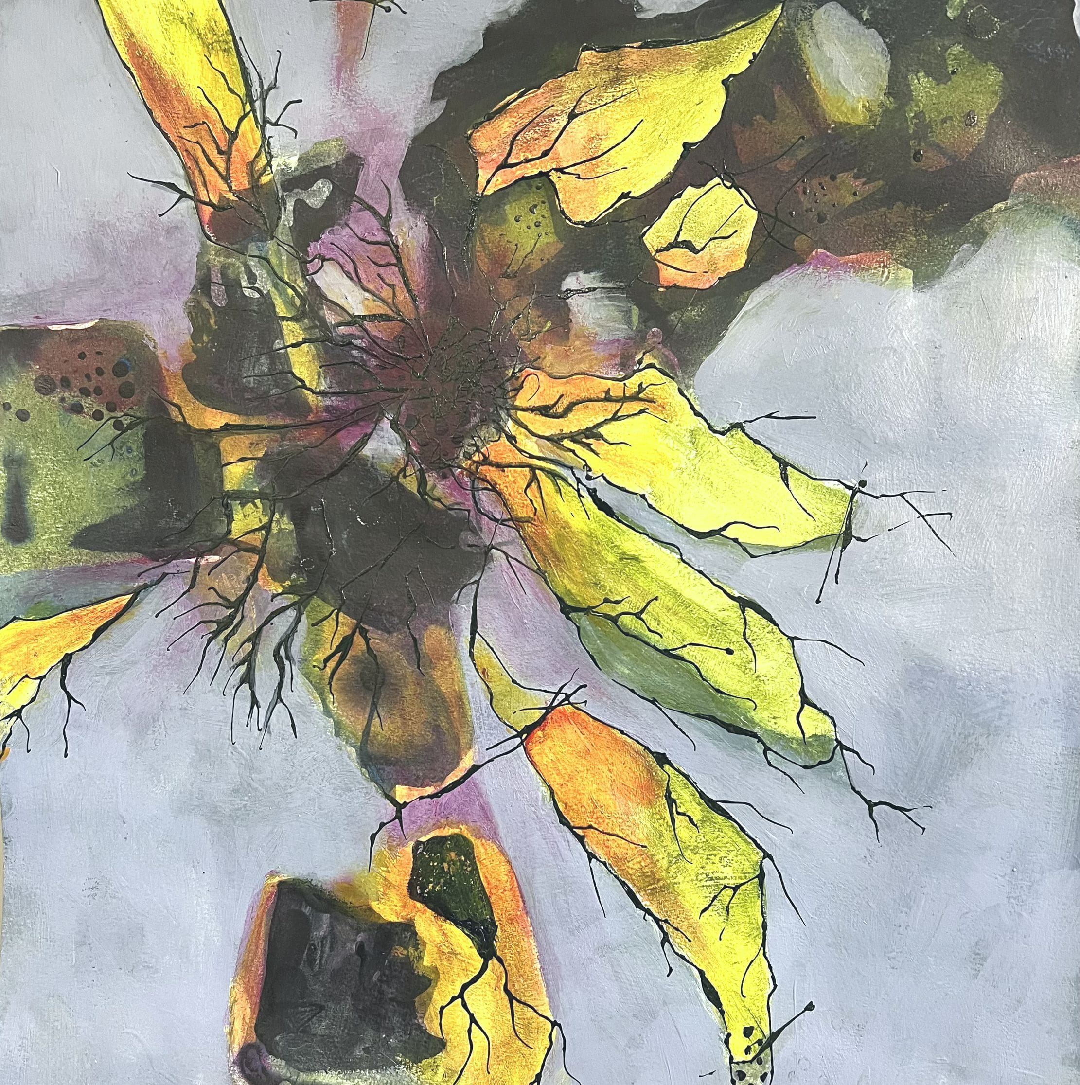 ANKO-2611(466)-WhereLightTakesRoot-24x18x2-PB-495-Sq